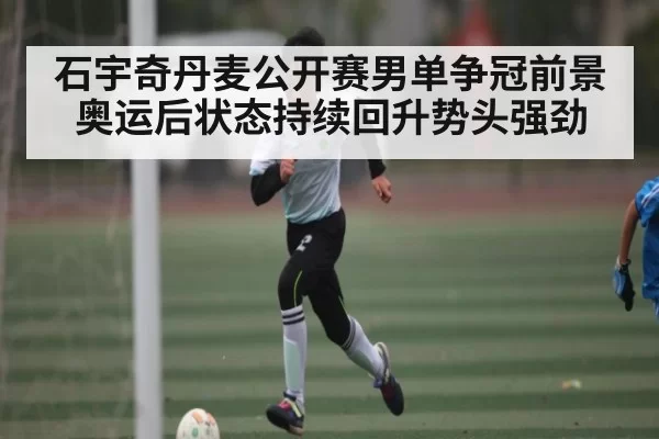 石宇奇丹麦公开赛男单争冠前景 奥运后状态持续回升势头强劲 | Leyu