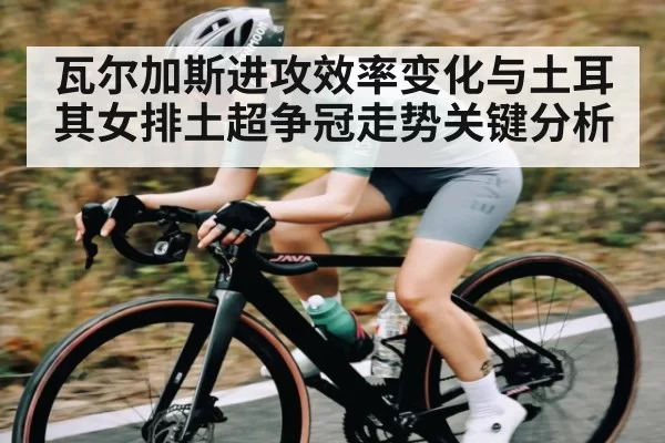 瓦尔加斯进攻效率变化与土耳其女排土超争冠走势关键分析 - Leyu